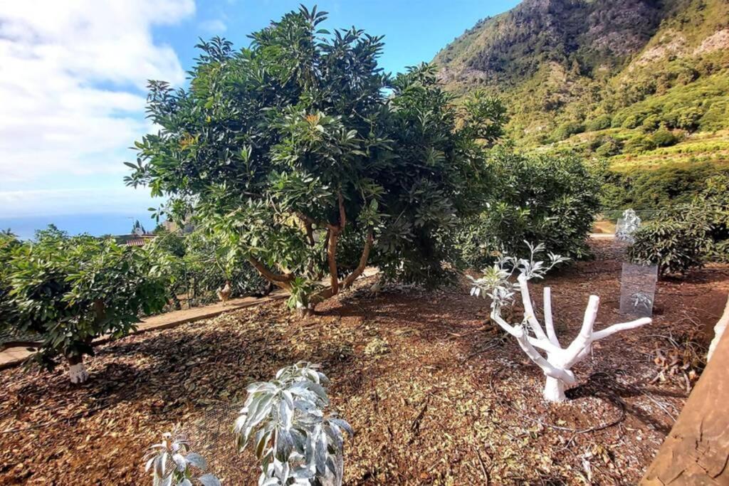 Casa Rural La Resbala - Casa Drago La Orotava Luaran gambar